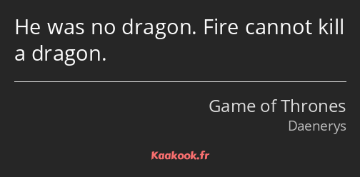 He was no dragon. Fire cannot kill a dragon.