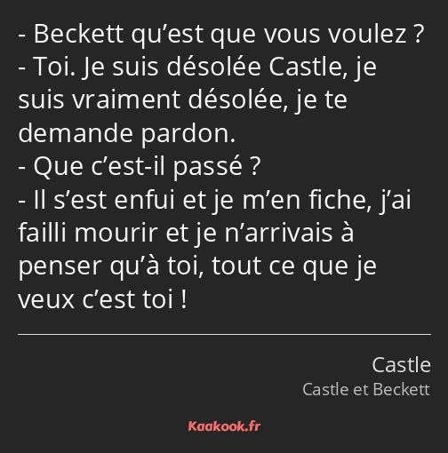 Beckett qu’est que vous voulez ? Toi. Je suis désolée Castle, je suis vraiment désolée, je te…