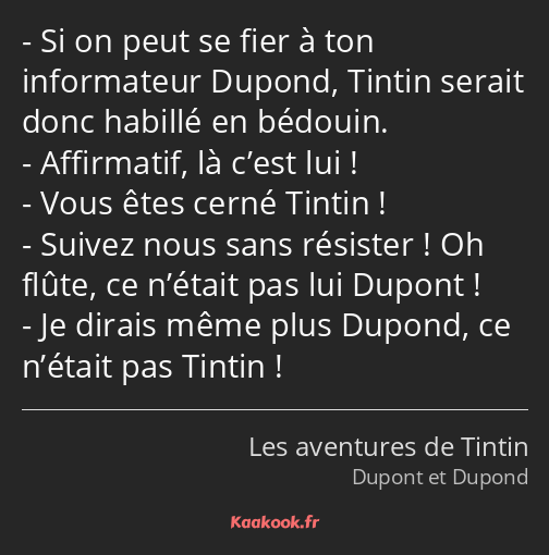 Si on peut se fier à ton informateur Dupond, Tintin serait donc habillé en bédouin. Affirmatif, là…