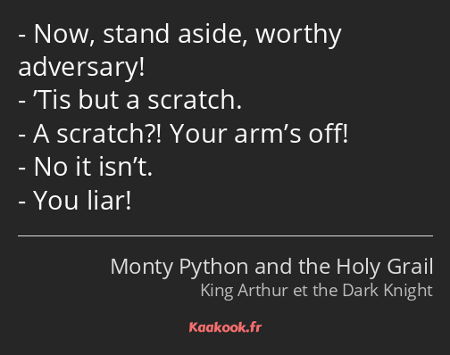 Now, stand aside, worthy adversary! ’Tis but a scratch. A scratch?! Your arm’s off! No it isn’t…