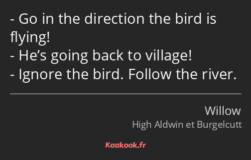 Go in the direction the bird is flying! He’s going back to village! Ignore the bird. Follow the…