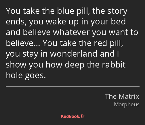 You take the blue pill, the story ends, you wake up in your bed and believe whatever you want to…