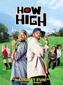 Affiche de How High