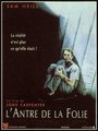 Affiche de L’antre de la folie