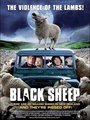 Affiche de Black sheep