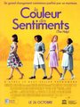 Affiche de La couleur des sentiments