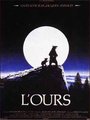 Affiche de L’ours