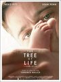 Affiche de The tree of life - l’arbre de vie