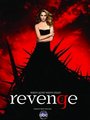 Affiche de Revenge