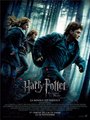 Affiche de Harry Potter et les reliques de la mort - 1re partie