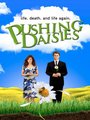 Affiche de Pushing Daisies