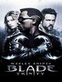 Affiche de Blade : Trinity