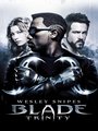 Affiche de Blade : Trinity