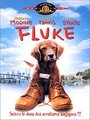 Affiche de Fluke