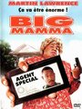 Affiche de Big mama