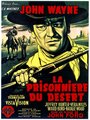 Affiche de La prisonnière du désert