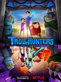 Affiche de Chasseurs de trolls