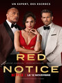 Affiche de Red Notice