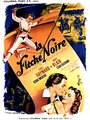 Affiche de La Flèche noire