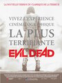 Affiche de Evil dead 2013