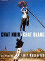 Affiche de Chat noir, chat blanc