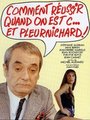 Affiche de Comment réussir quand on est con et pleurnichard