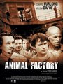 Affiche de Animal Factory