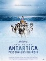 Affiche de Antartica