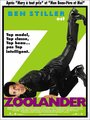 Affiche de Zoolander