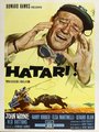 Affiche de Hatari !