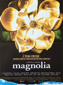 Affiche de Magnolia