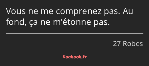 Vous ne me comprenez pas. Au fond, ça ne m’étonne pas.