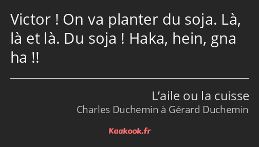 Victor ! On va planter du soja. Là, là et là. Du soja ! Haka, hein, gna ha !!