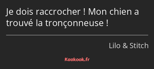 Je dois raccrocher ! Mon chien a trouvé la tronçonneuse !