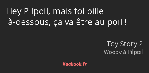 Hey Pilpoil, mais toi pille là-dessous, ça va être au poil !