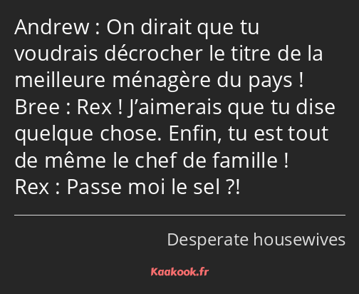 On dirait que tu voudrais décrocher le titre de la meilleure ménagère du pays ! Rex ! J’aimerais…