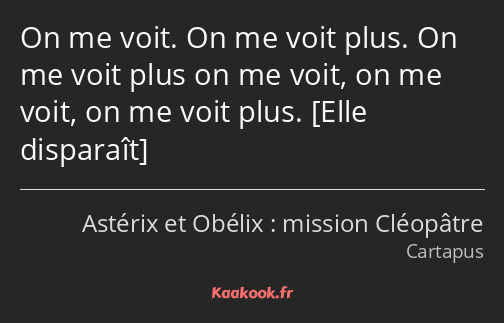 On me voit. On me voit plus. On me voit plus on me voit, on me voit, on me voit plus. 