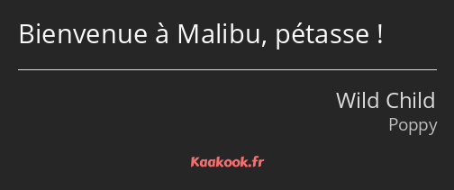 Bienvenue à Malibu, pétasse !