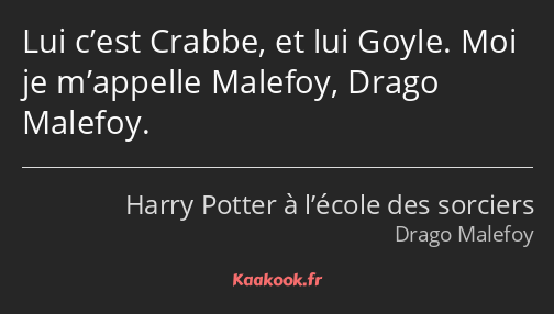 Lui c’est Crabbe, et lui Goyle. Moi je m’appelle Malefoy, Drago Malefoy.