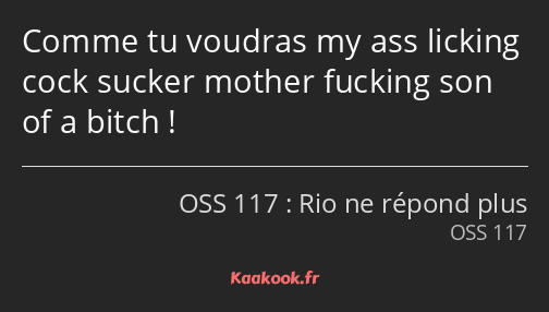 Comme tu voudras my ass licking cock sucker mother fucking son of a bitch !