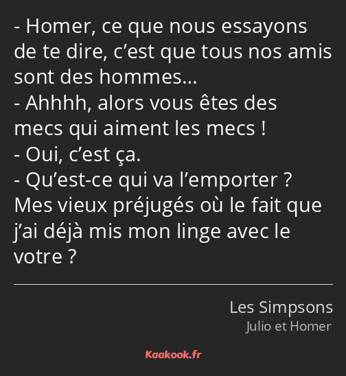 Homer, ce que nous essayons de te dire, c’est que tous nos amis sont des hommes… Ahhhh, alors vous…