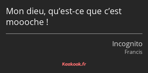 Mon dieu, qu’est-ce que c’est moooche !