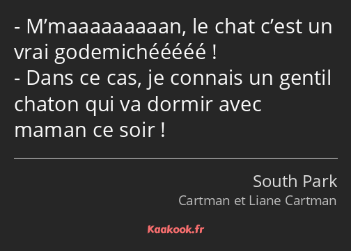 M’maaaaaaaaan, le chat c’est un vrai godemichééééé ! Dans ce cas, je connais un gentil chaton qui…