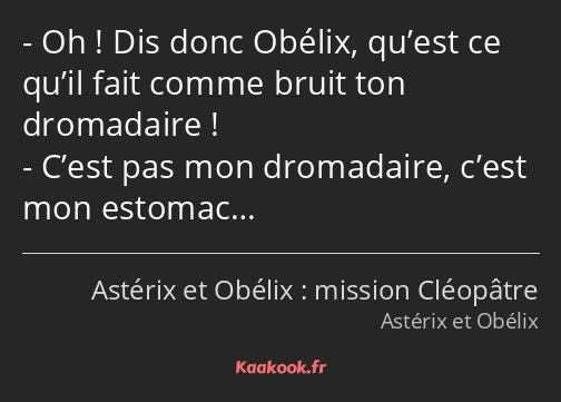 Oh ! Dis donc Obélix, qu’est ce qu’il fait comme bruit ton dromadaire ! C’est pas mon dromadaire…