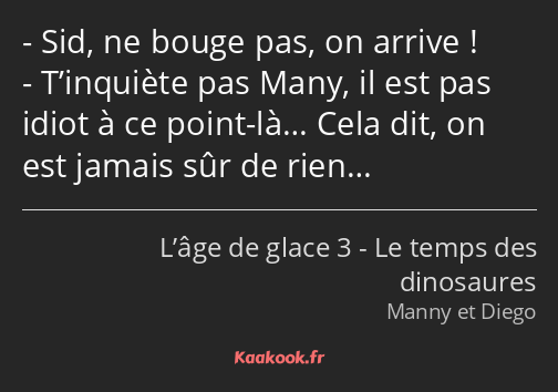 Sid, ne bouge pas, on arrive ! T’inquiète pas Many, il est pas idiot à ce point-là… Cela dit, on…