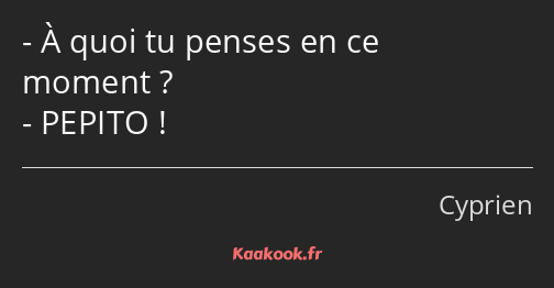 À quoi tu penses en ce moment ? PEPITO !