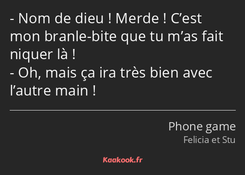 Nom de dieu ! Merde ! C’est mon branle-bite que tu m’as fait niquer là ! Oh, mais ça ira très bien…