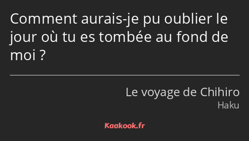 Comment aurais-je pu oublier le jour où tu es tombée au fond de moi ?