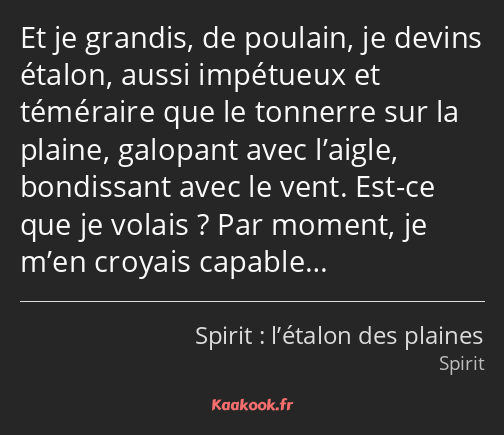 Et je grandis, de poulain, je devins étalon, aussi impétueux et téméraire que le tonnerre sur la…