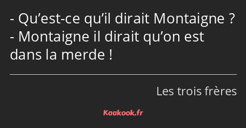 Qu’est-ce qu’il dirait Montaigne ? Montaigne il dirait qu’on est dans la merde !